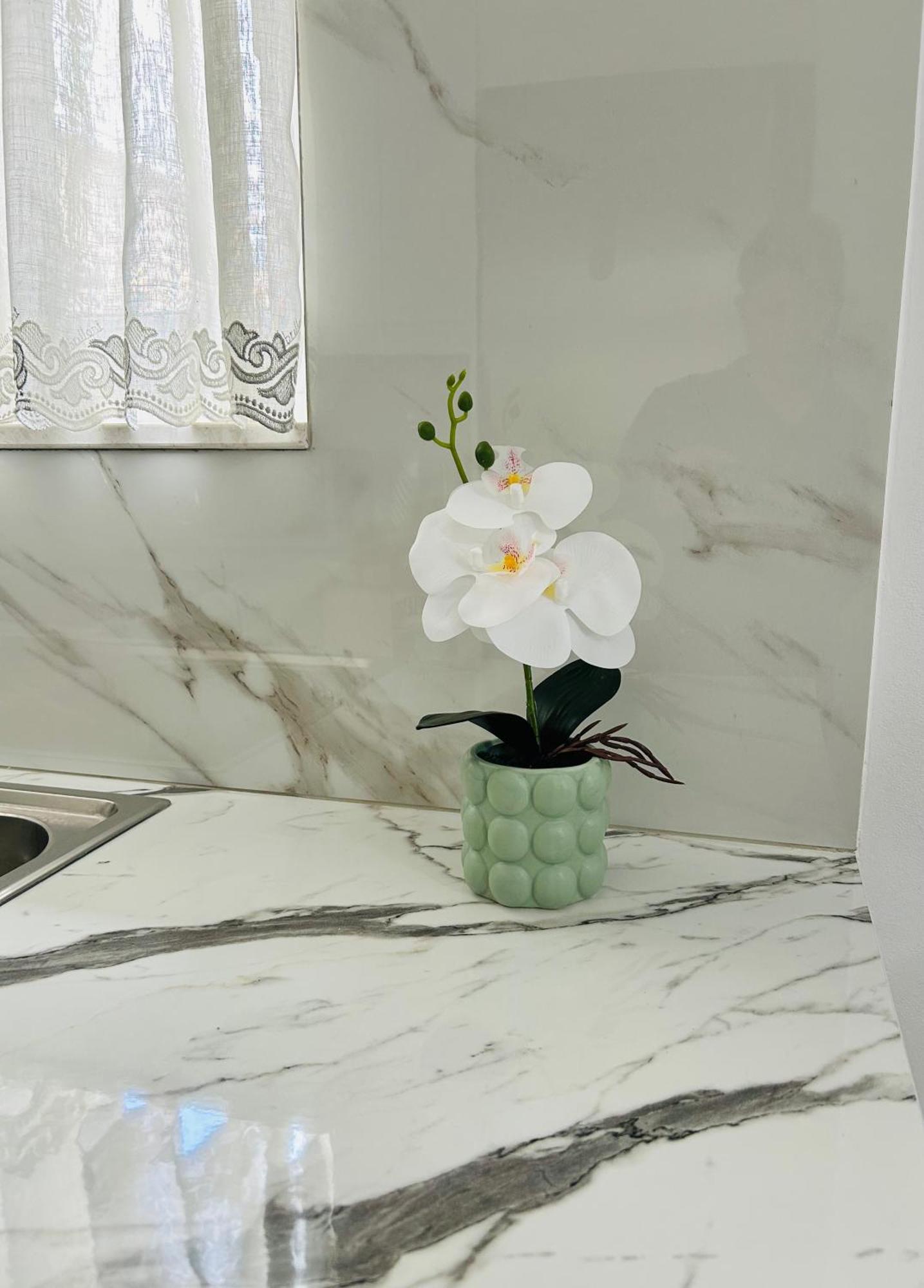 Apartment Todi's